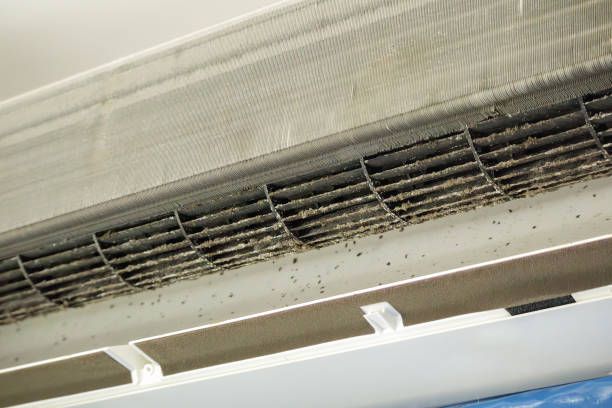 Best Ventilation Cleaning Services  in Muskegon Heights, MI