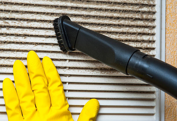Best Air Vent Cleaning Services  in Muskegon Heights, MI